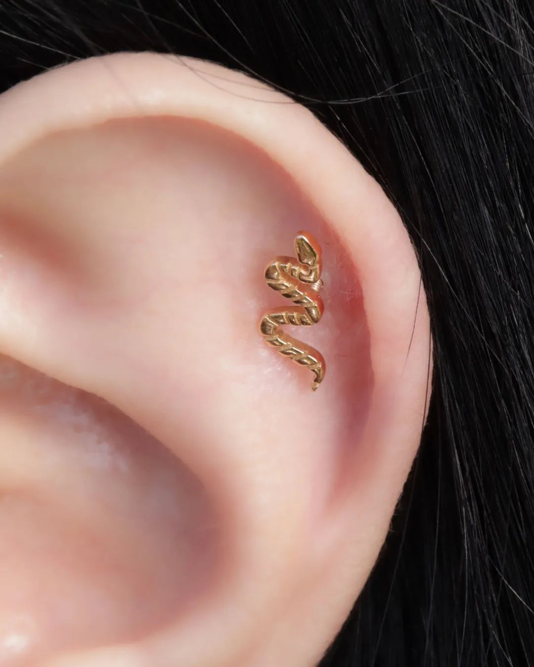 Labret Serpiente en Oro Sólido 18K