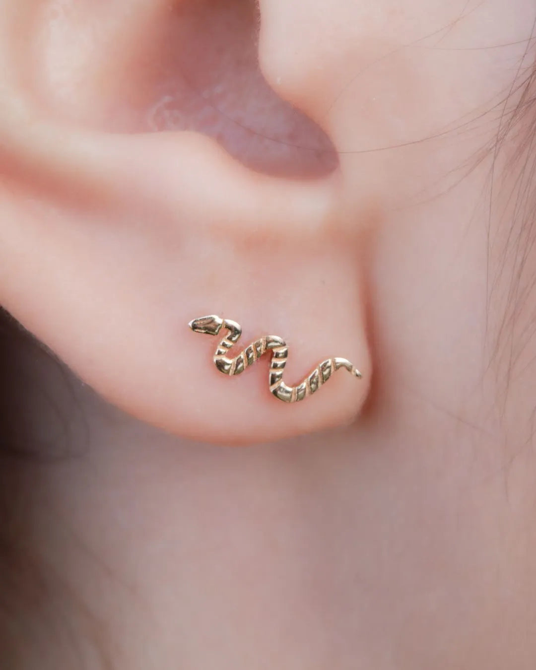 Labret Serpiente en Oro Sólido 18K