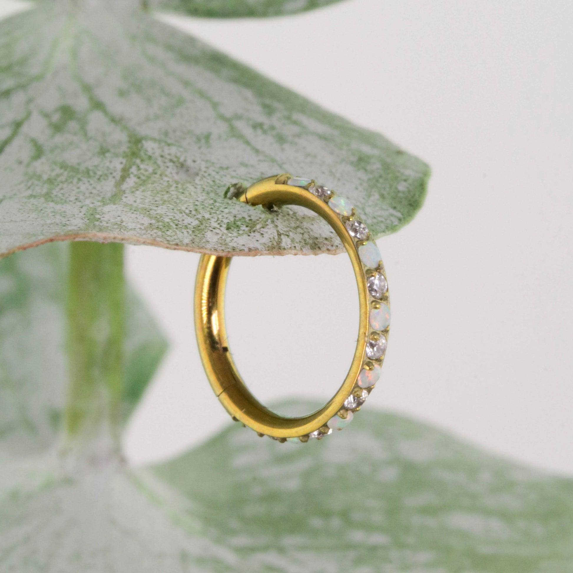 Irla Clicker Hoop in Titanium | Iridescent Opal