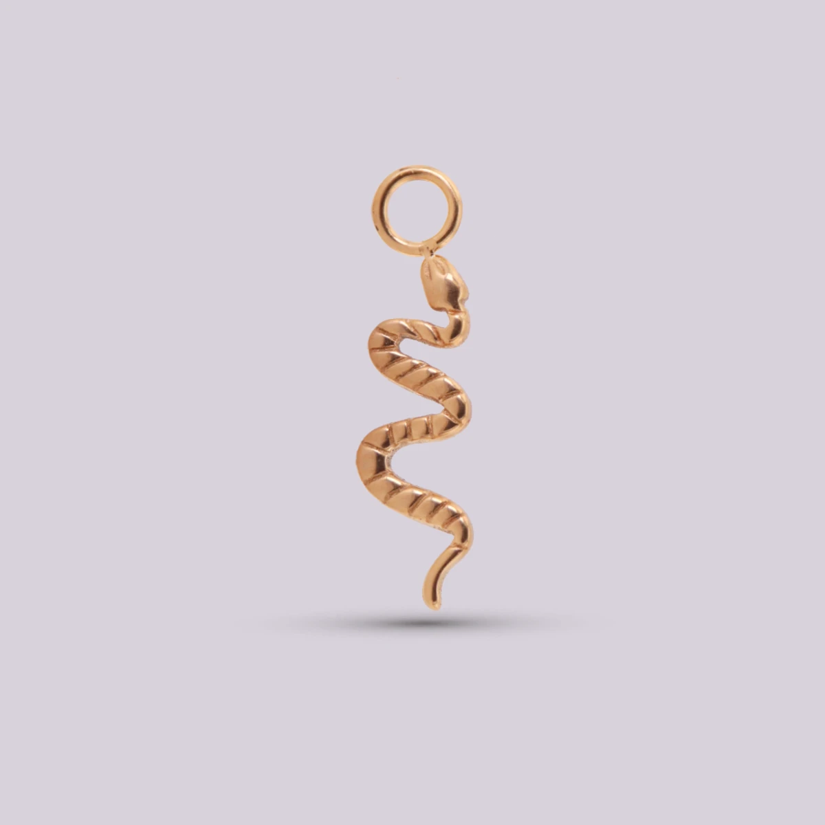 Charm Serpiente en Titanio – Plateado y Dorado
