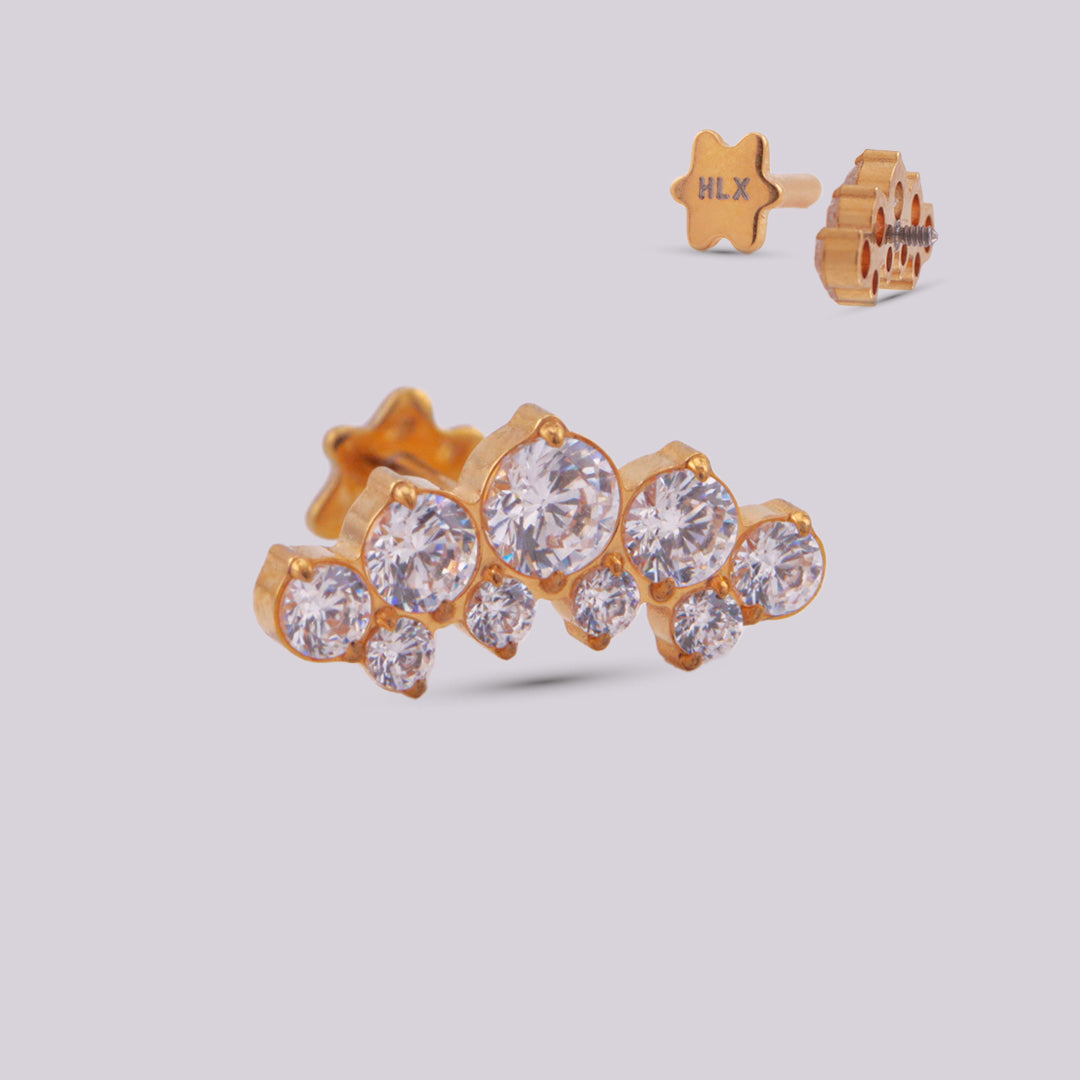 Ear Earrings