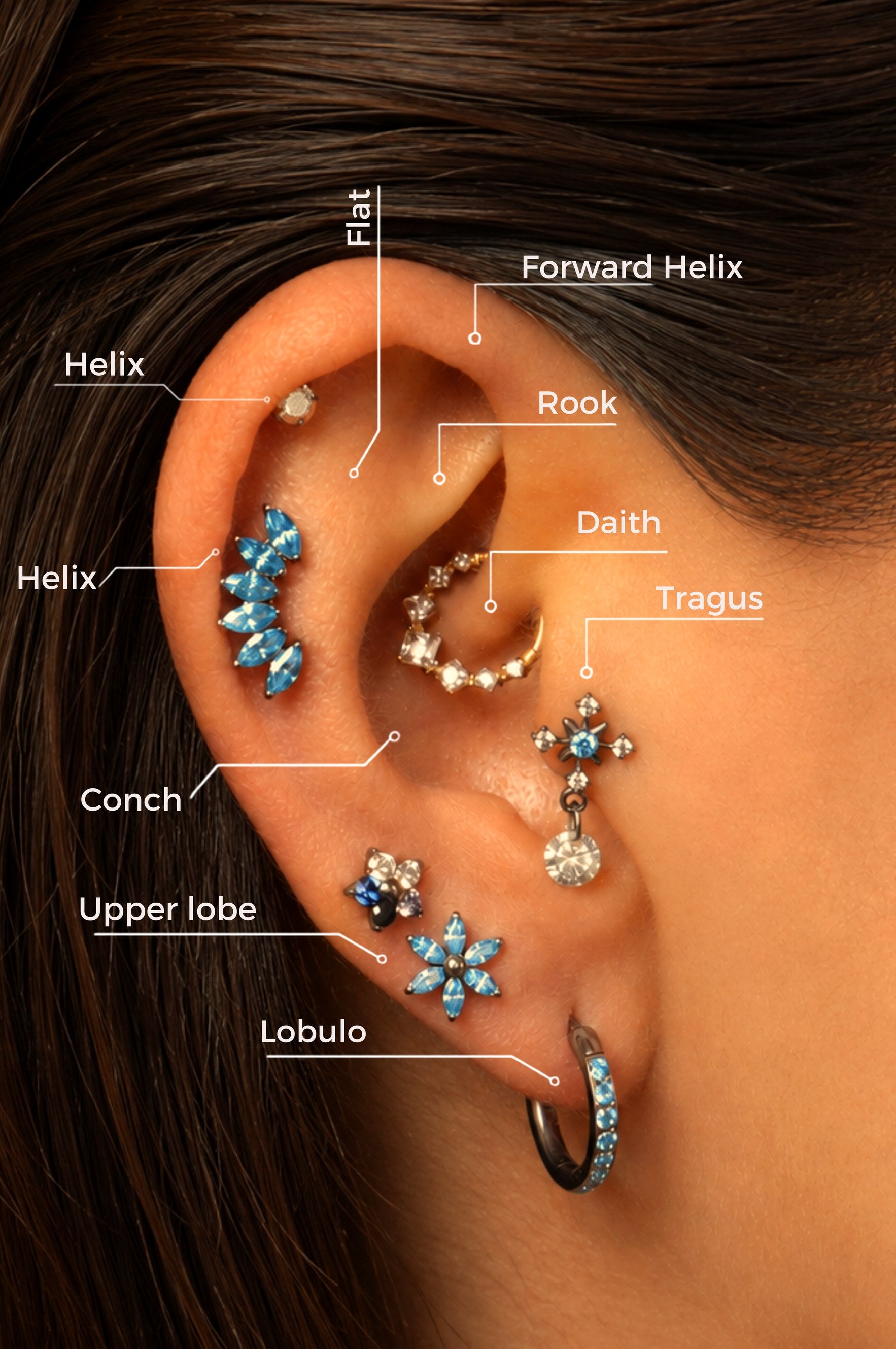 Diagrama interactivo de perforaciones de oreja Helix Body Jewelry: helix, forward helix, flat, rook, daith, tragus, conch, upper lobe y lóbulo