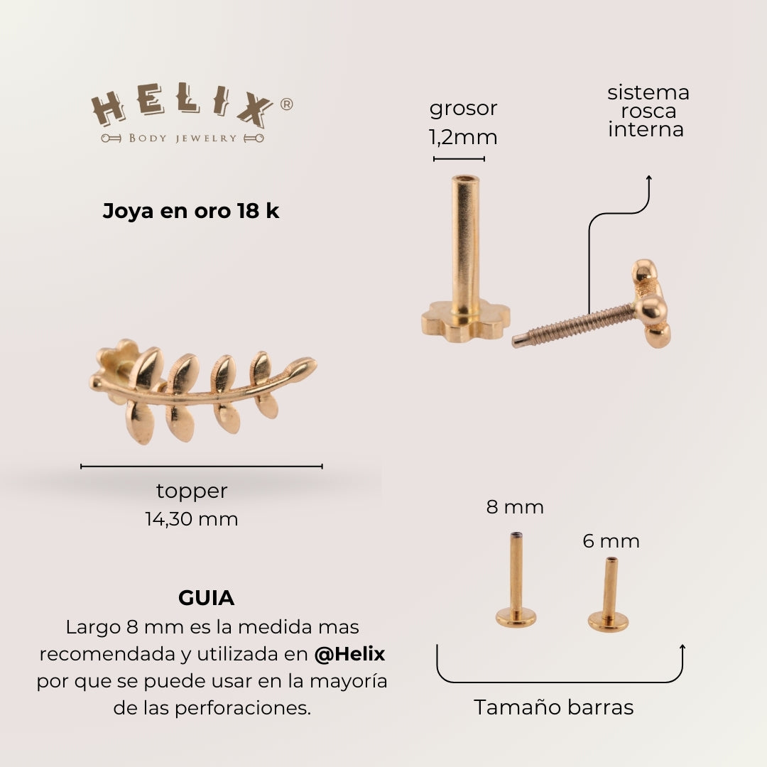 Laurel Petal Labret | 18K Gold